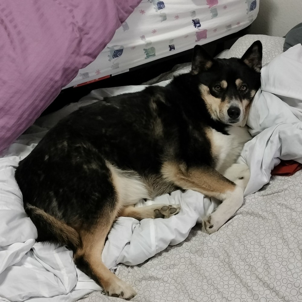 Meet your Posher, Posh